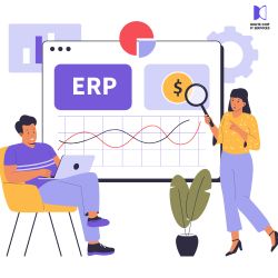 Best Erp Software Companies In Delhi